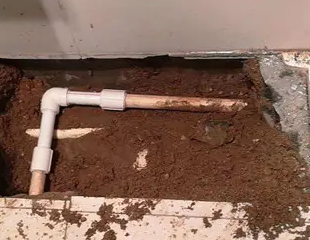 云梦测漏水哪家好