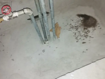 云梦卫生间测漏水价格明细